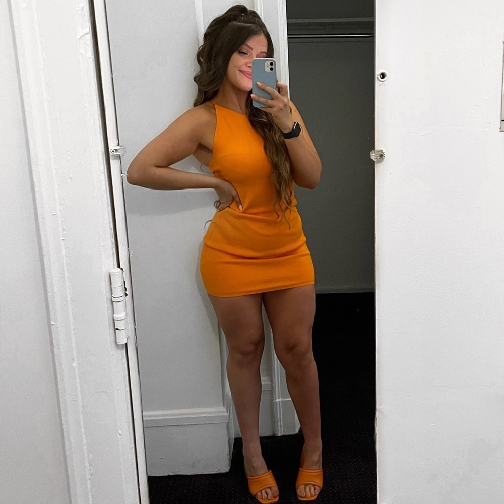 Aritzia Babaton Dress